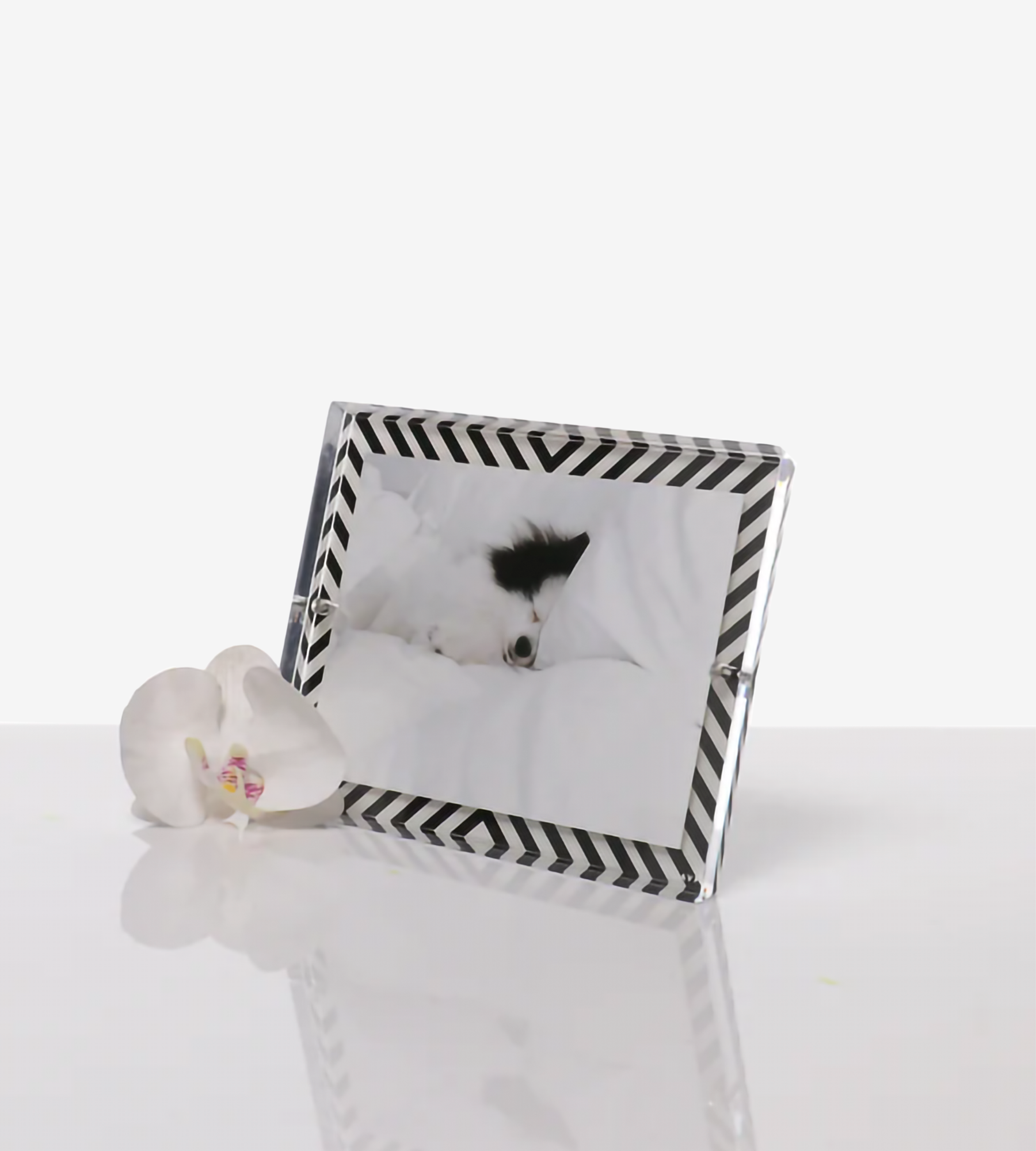 Accent Snap Photo Frame (showroom sample)