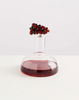 Bordeaux Wine Decanter