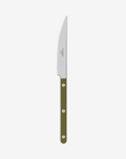 Dinner Knife Bistrot - Green Fern