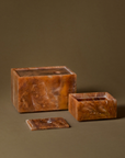 Mist Box Small - Sugar Kelp
