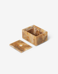 Mist Box Small - Sugar Kelp