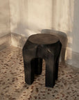 Root Stool
