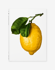 The Gourmand’s Lemon. A Collection of Stories and Recipes