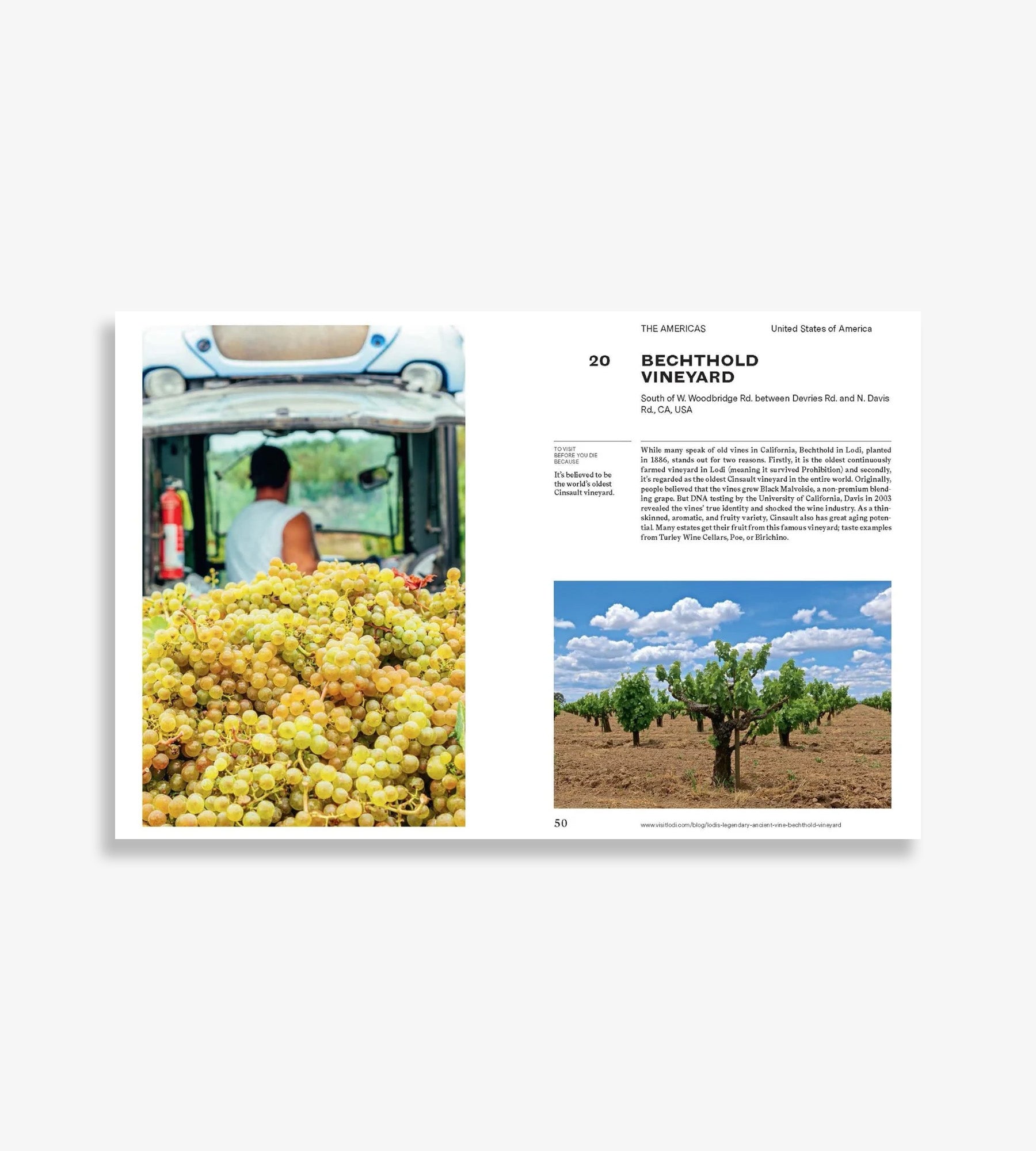 150 Vineyards You Need to Visit Before You Die