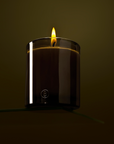 Bush Walk Scented Candle