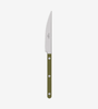 Dinner Knife Bistrot - Green Fern
