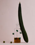 The Olive Bottle