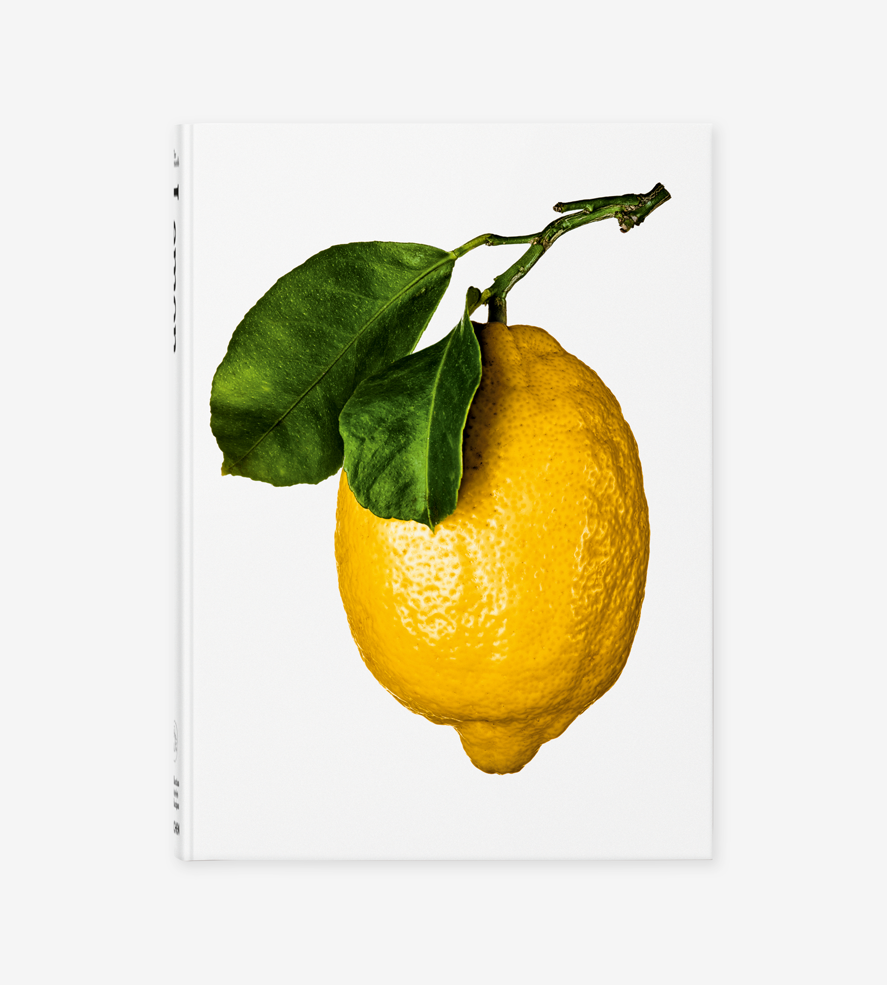 Art Lover Puzzle - Lounge (1000 pieces)