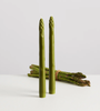 The Asparagus Bunch Candles (set of 4)