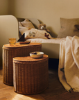 Willora Braided Storage (set of 2)