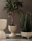 Evoke Pot - Tall